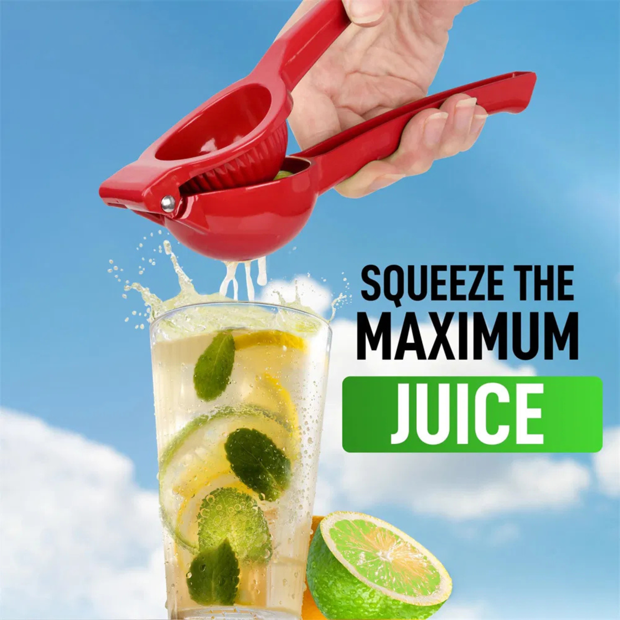 Handheld Manual Metal Lemon & Citrus Squeezer