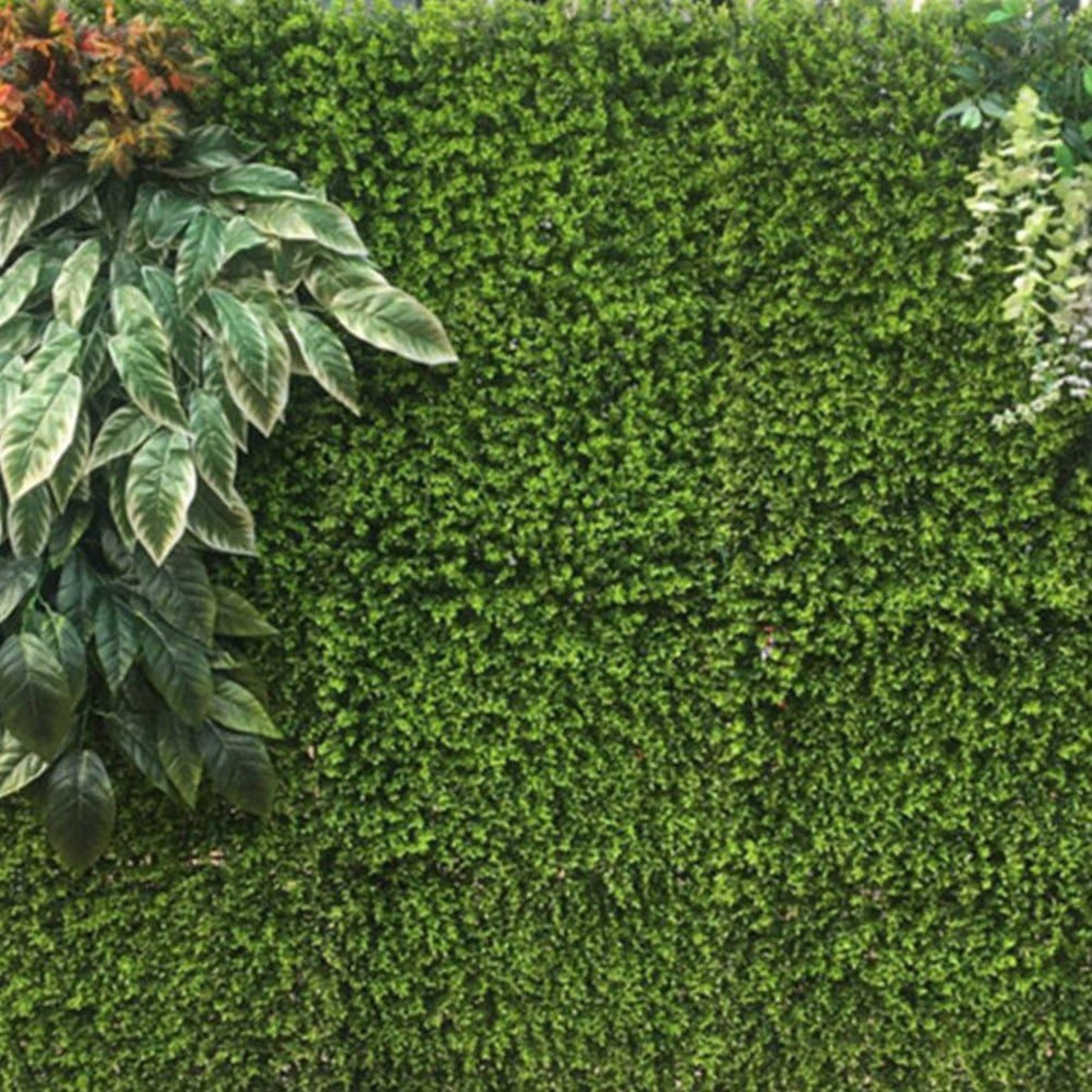 Artificial Milan Grass Wall Lawn Screen Fence